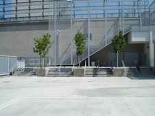 Enlarge photo 99