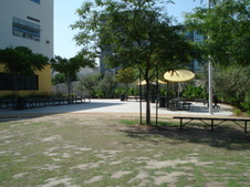 Enlarge photo 104