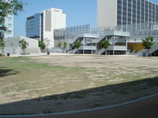 Enlarge photo 105
