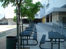 Enlarge photo 106