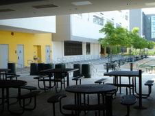 Enlarge photo 113