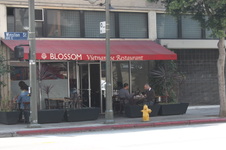 Blossom 