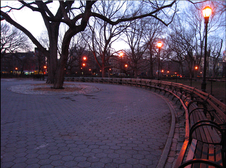 Enlarge photo 21