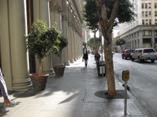 NYU Exterior Building Options