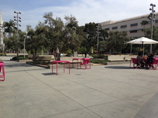 Enlarge photo 16