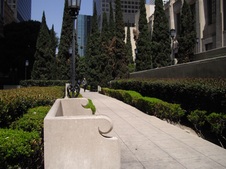 Enlarge photo 10