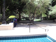 Enlarge photo 24