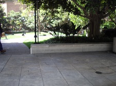 Enlarge photo 26