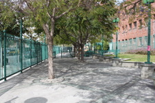 Enlarge photo 6