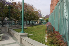 Enlarge photo 16