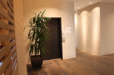 Enlarge photo 45