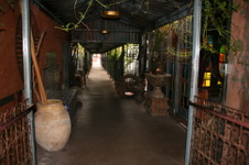 Enlarge photo 44