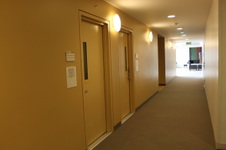 Enlarge photo 52