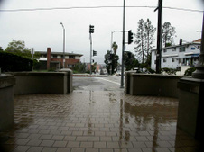 Enlarge photo 72