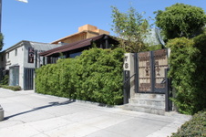 KOI Restaurant