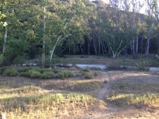 Enlarge photo 17