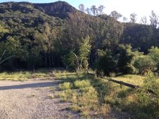 Enlarge photo 14