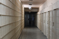 Enlarge photo 103