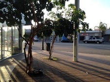 Enlarge photo 8