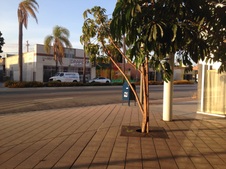 Enlarge photo 13