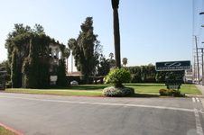 Hollywood Foverever