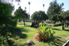Enlarge photo 18
