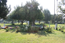 Enlarge photo 20