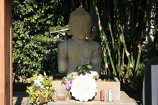 Enlarge photo 32
