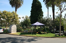 Enlarge photo 43