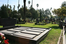 Enlarge photo 46
