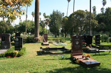 Enlarge photo 48