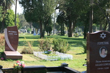 Enlarge photo 49