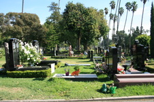 Enlarge photo 50