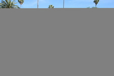 Enlarge photo 61