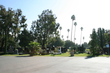 Enlarge photo 52