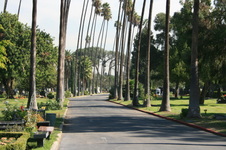 Enlarge photo 53
