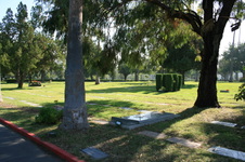 Enlarge photo 56