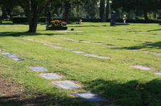 Enlarge photo 57