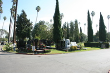 Enlarge photo 58