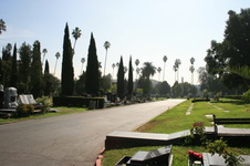 Enlarge photo 59