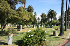 Enlarge photo 62