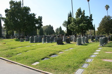 Enlarge photo 63