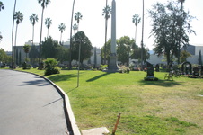 Enlarge photo 65