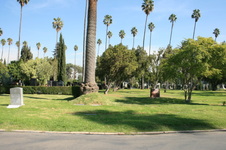 Enlarge photo 66