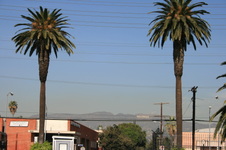 Enlarge photo 68