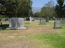 Mt View Option 1
