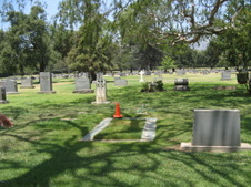 Mt View Option 2