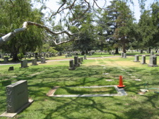 Enlarge photo 2