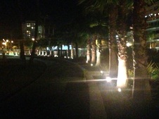 Enlarge photo 32