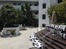 Enlarge photo 15
